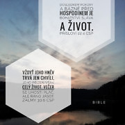bible_com.jpg