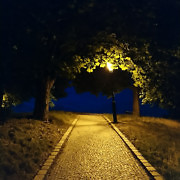 night-walk-with-light.jpg
