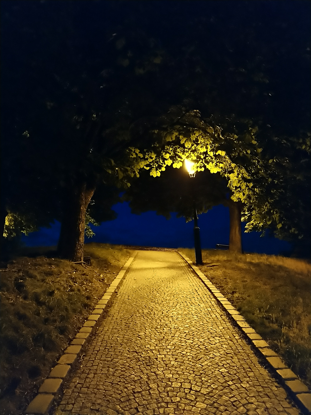 night-walk-with-light
