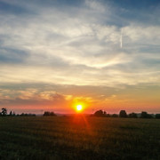 sunset-field-zdiby.jpg