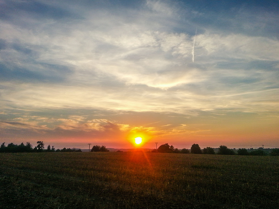 sunset-field-zdiby
